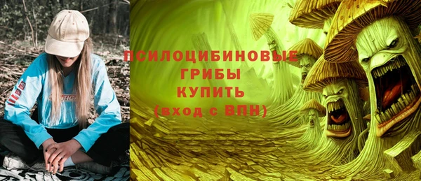 крисы Аркадак