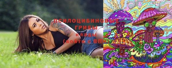 крисы Аркадак