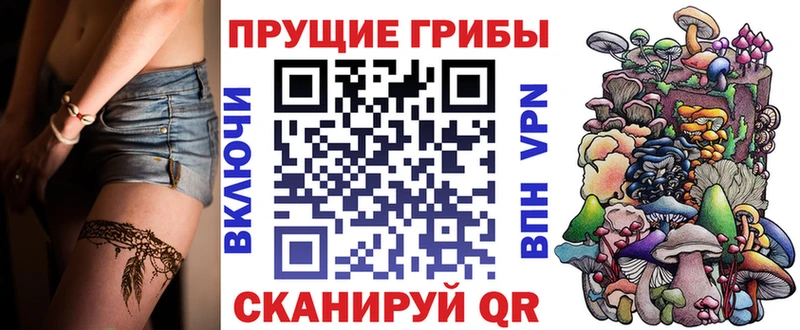Галлюциногенные грибы Cubensis  Козьмодемьянск 